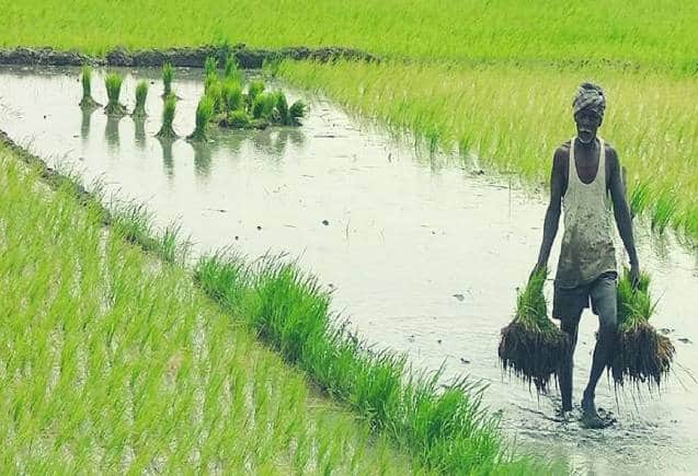 PM Kisan Yojana: सिर्फ 3 दिन बाद पीएम किसान की 14वीं किश्त होगी जारी, इन किसानों को नहीं मिलेगा फायदा