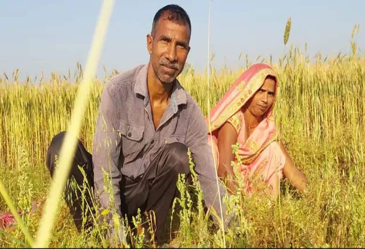 PM Kisan: नहीं मिली पीएम किसान की 18वीं किश्त? तुरंत करें शिकायत, वरना फंस जाएंगे 2000 रुपये PM Kisan: नहीं मिली पीएम किसान की 18वीं किश्त? तुरंत करें शिकायत, वरना फंस जाएंगे 2000 रुपये