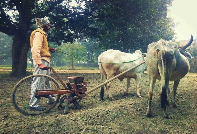 इस सरकारी योजना में बिना कोई निवेश किए किसानों को हर साल मिलते हैं 6000 रुपये, ऐसे उठाएं फायदा