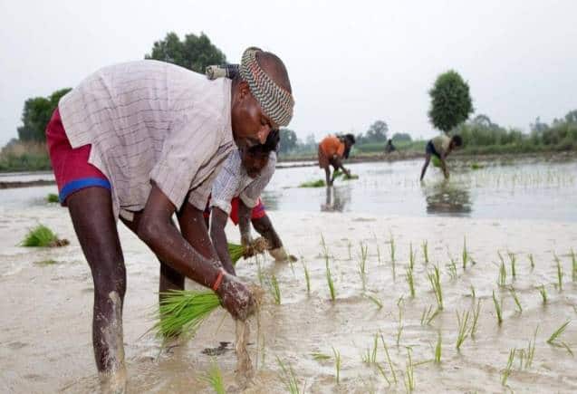 PM Kisan Yojana: 14वीं किश्त के 2000 रुपये मिले या नहीं, ऐसे चेक करें बैलेंस