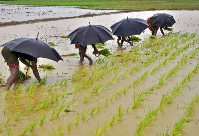 PM Kisan Yojana: यह काम करने पर फौरन मिलेगा 14वीं किश्त का फायदा, इस दिन अकाउंट में आएंगे 2000 रुपये