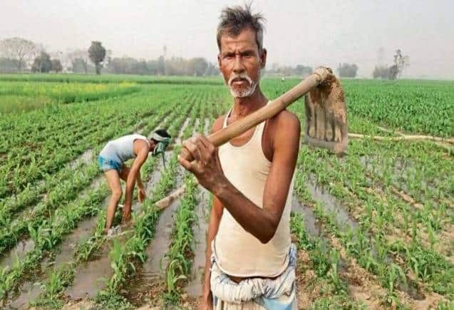PM किसान पर आया बड़ा अपडेट, इन लोगों को नहीं मिलेगा 14वीं किश्त का फायदा