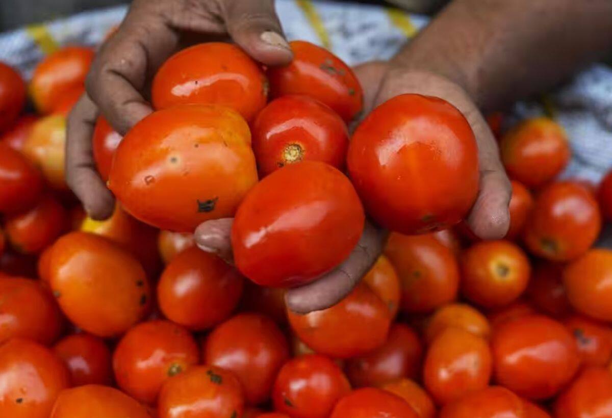 यहां पर सबसे सस्ता मिल रहा है टमाटर  प्रमुख शहरों में, टमाटर की खुदरा कीमतें 58 से 148 रुपये प्रति किलोग्राम के बीच रहीं, सबसे अधिक कीमत कोलकाता में 148 रुपये प्रति किलोग्राम और सबसे कम कीमत मुंबई में 58 रुपये प्रति किलोग्राम दर्ज की गई।