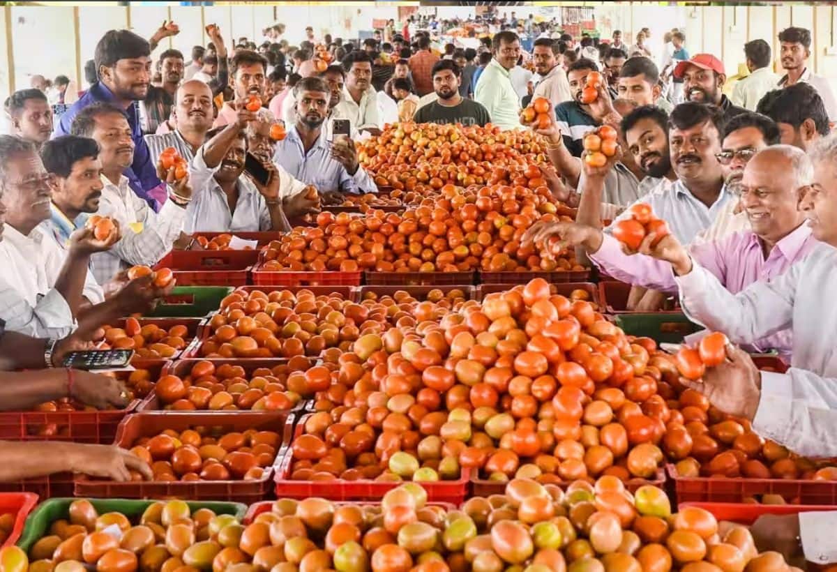 कहां सबसे महंगा मिल रहा है टमाटर  उपभोक्ता मामलों के मंत्रालय के आंकड़ों के मुताबिक, पूरे भारत में औसत खुदरा कीमत 83.29 रुपये प्रति किलोग्राम थी, जबकि औसत कीमत 100 रुपये प्रति किलोग्राम थी। आंकड़ों से पता चलता है कि सबसे अधिक कीमत 155 रुपये प्रति किलोग्राम पश्चिम बंगाल के सिलीगुड़ी में थी।