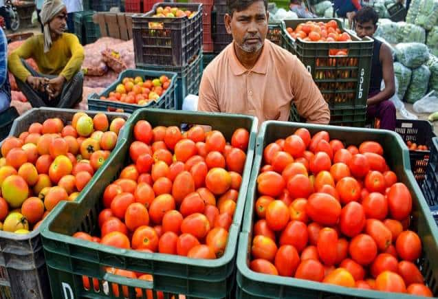 Tomato Price: अब घर बैठे 70 रुपए में ऑनलाइन मंगाए टमाटर, होम डिलीवरी के लिए बस करना होगा ये काम