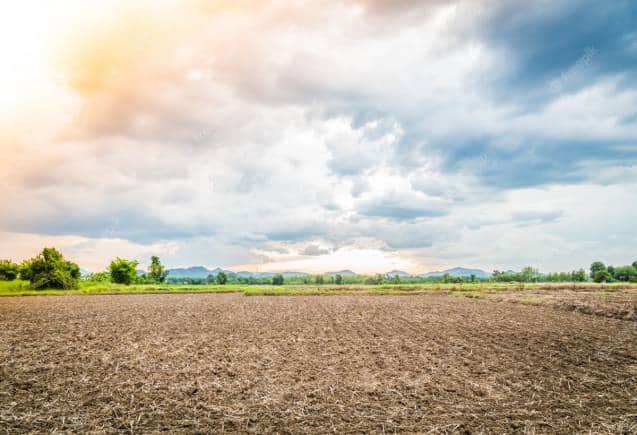 Property:  क्या खेती की जमीन पर बना सकते हैं घर? जानिए नियम
