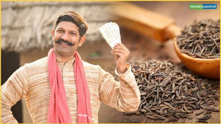जीरे की कीमतों में आए उछाल से किसान हुए मालामाल
