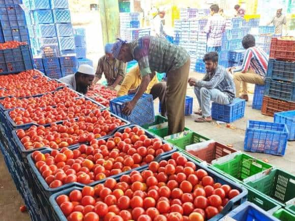 Tomato Price Hike: जनता को बड़ी राहत, सरकार 70 रुपए में बेच रही एक किलो टमाटर