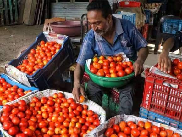 Tomato Price: सरकार बेच रही है सस्ते दाम पर टमाटर, दिल्ली-NCR और पटना समेत इन इलाकों में हो रही है बिक्री