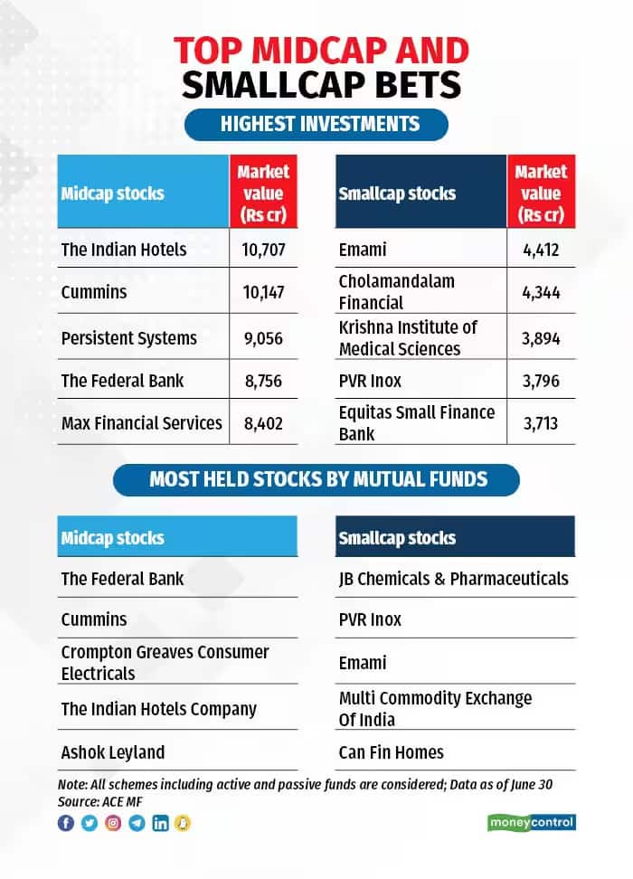 top midcap small cap