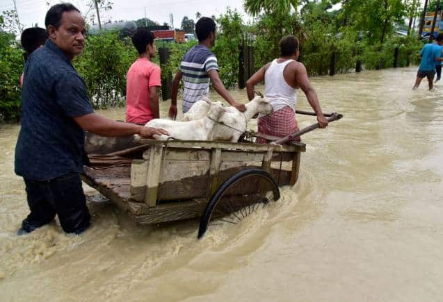 Assam Floods असम में बाढ़ से पांच जिलों में लगभग 46 000 लोग प्रभावित Moneycontrol Hindi