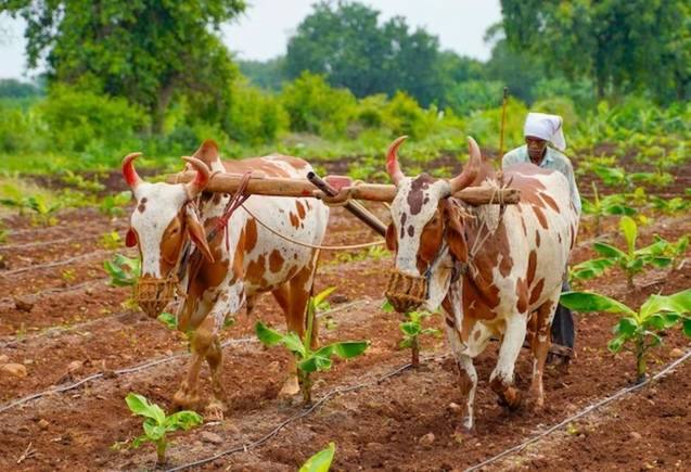 PM Kisan Yojana: 14वीं किश्त का नहीं मिला फायदा, इन नंबरों में करें फोन, फौरन मिलेंगे पैसे