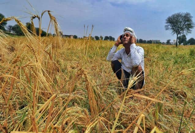 PM Fasal Bima Yojana: किसानों को अब अल नीनो से क्या डरना, नुकसान की भरपाई कर रही है सरकार, जानिए कैसे उठाएं फायदा
