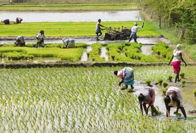 PM Kisan Yojana: परिवार के कितने सदस्य उठा सकते हैं पीएम किसान का फायदा? यहां जानिए पूरी डिटेल