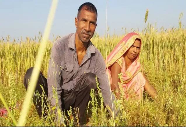 PM Kisan Yojana: अगली किश्त में घट सकती है लाभार्थियों की संख्या, जानिए वजह