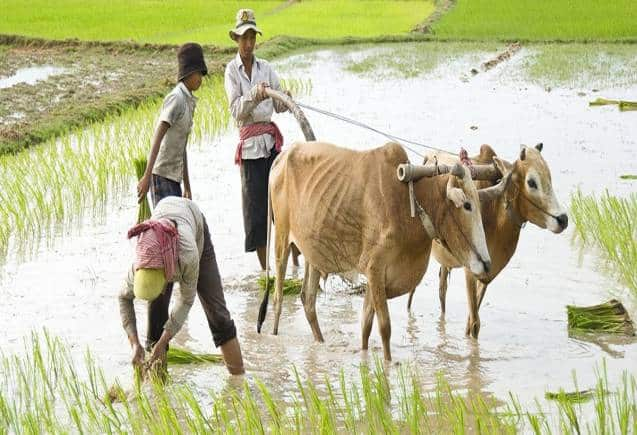 PM Kisan Yojana: इन किसानों को सरकार ने दिया तोहफा, मिलेंगे 12000 रुपये, जानिए कैसे उठाएं फायदा