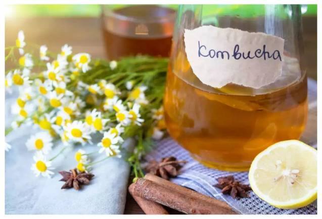 Diabetes: Kombucha की चाय Blood Sugar का कर देगी काम तमाम, स्टडी में हुआ बड़ा खुलासा Diabetes: Kombucha की चाय Blood Sugar का कर देगी काम तमाम, स्टडी में हुआ बड़ा खुलासा
