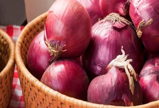 Onion Price: सरकार का प्याज से बैन हटाने का इरादा नहीं, 2024 तक जारी रहेगा बैन: सूत्र