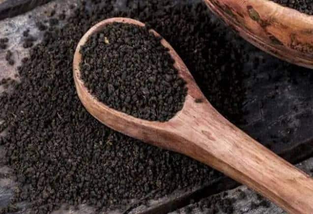 Business Idea: कम पैसे लगाकर शुरू करें चाय पत्ती का बिजनेस, रोजाना होगी अंधाधुंध कमाई