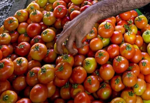 Tomato Prices: टमाटर की कीमतों में अभी और लग सकती है आग, 300 रुपये किलो तक पहुंचने के आसार
