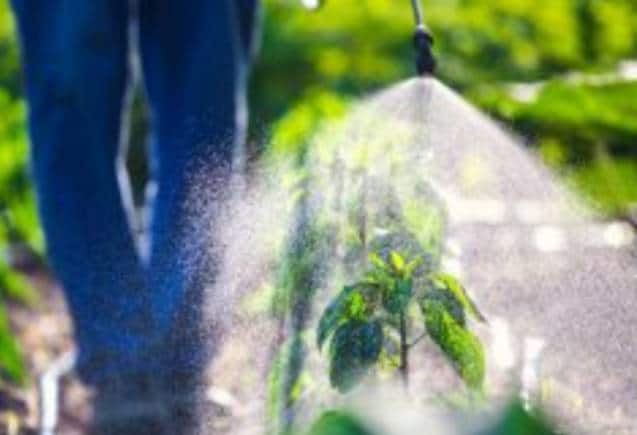 Crop Life Science IPO Listing: 8% प्रीमियम पर एंट्री, फिर मुनाफावसूली के चलते लगा लोअर सर्किट Crop Life Science IPO Listing: 8% प्रीमियम पर एंट्री, फिर मुनाफावसूली के चलते लगा लोअर सर्किट