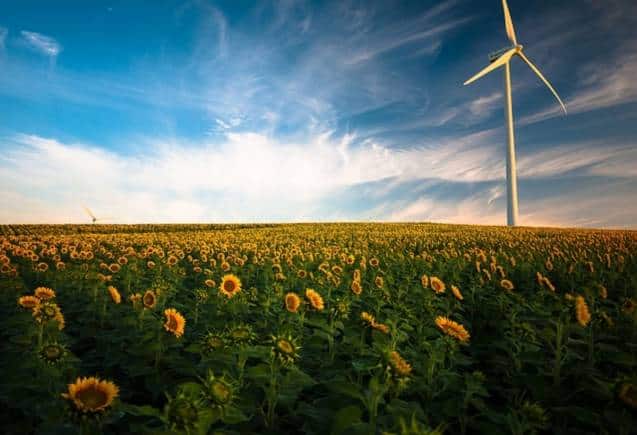 Suzlon Share Price: 10 महीने में 3 गुना बढ़ा पैसा, अभी और कितना चढ़ेगा सुजलॉन?