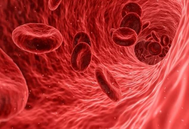 Blood Circulation खराब होने पर दिखते हैं ये लक्षण, कभी न करें इग्नोर, फौरन हो जाएं अलर्ट