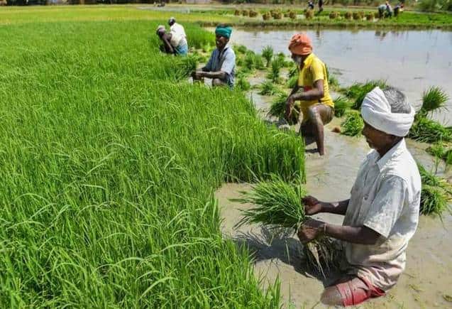 PM Kisan Yojana: क्या पिता-पुत्र दोनों को मिलेगा 15वीं किश्त का फायदा, यहां जानिए पूरी डिटेल