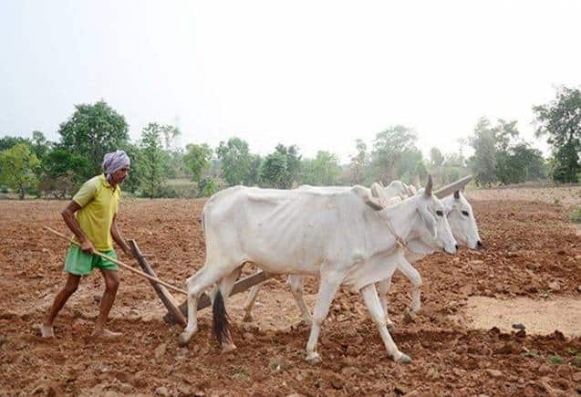 PM Kisan Yojana: 15वीं किश्त के पहले ये 3 काम करना है जरूरी, वरना अटक जाएंगे 2000 रुपए