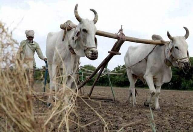 PM Kisan Yojana: 2000 रुपये पाना है तो फौरन करें ये काम, केंद्र सरकार ने दिए निर्देश
