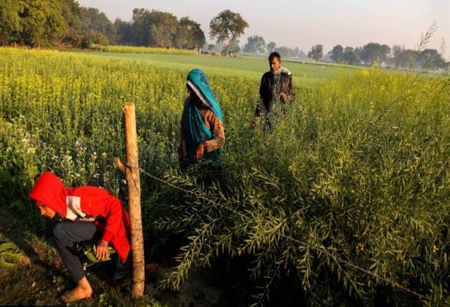 PM Kisan Yojana: 15वीं किश्त में इन किसानों को नहीं मिलेंगे 2000 रुपये, देखिए कहीं आपका नाम तो नहीं शामिल