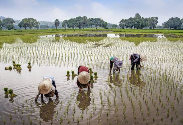 PM Kisan Yojana: पीएम किसान योजना के लाभार्थियों को डबल गिफ्ट, मिलेगा यह कार्ड, जानिए कैसे उठाएं फायदा