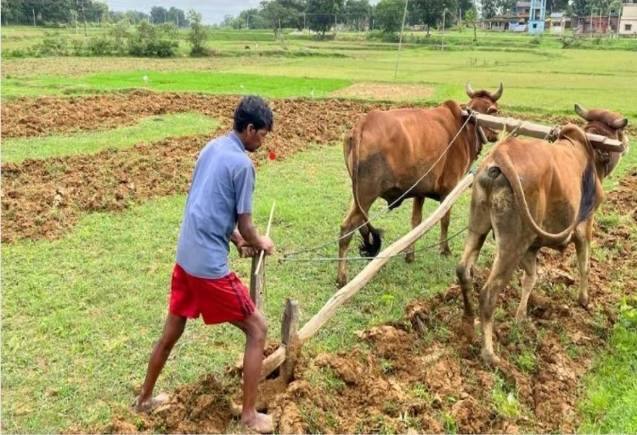 PM Kisan Yojana: 15वीं किश्त में इन किसानों को नहीं मिलेगा पैसा, ये है बड़ा कारण