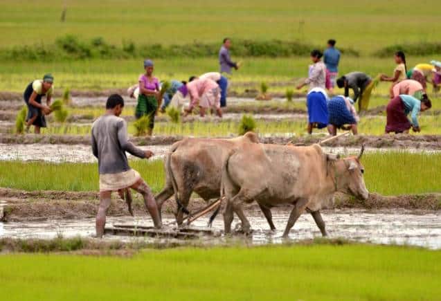 PM Kisan Yojana: लाभार्थी लिस्ट में नाम है या कट गया, घर बैठे ऐसे करें चेक