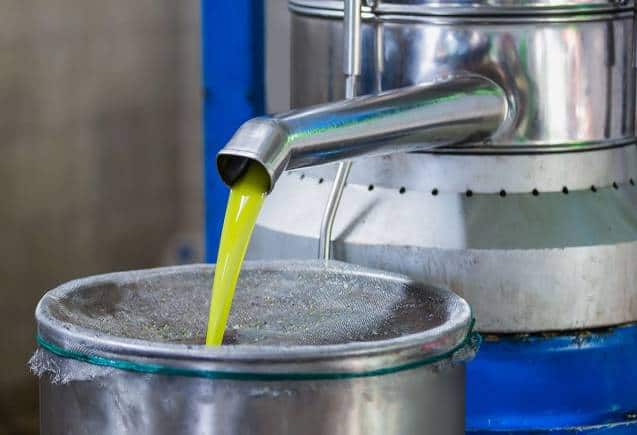 Business Idea: शुरू करें Oil Mill का बिजनेस, हर महीने होगी बंपर कमाई