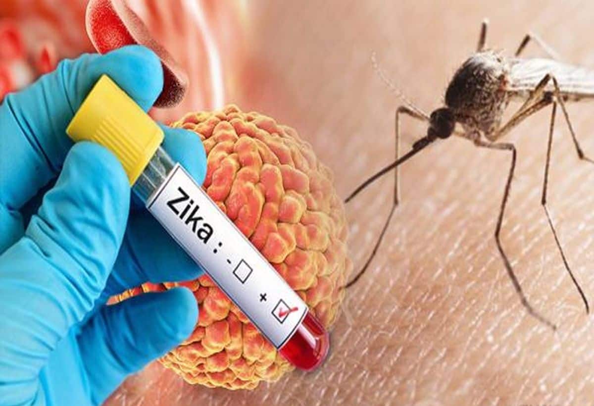 Zika virus: पुणे में जीका वायरस की एंट्री! यहां जानें लक्षण और बचाव समेत सबकुछ, गर्भवती महिलाएं इन बातों का रखें ध्यान Zika virus: पुणे में जीका वायरस की एंट्री! यहां जानें लक्षण और बचाव समेत सबकुछ, गर्भवती महिलाएं इन बातों का रखें ध्यान