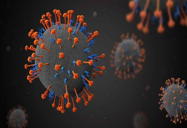 Nipah Virus Alert: केरल में निपाह वायरस का अलर्ट जारी, कोझिकोड में दो लोगों की मौत से हड़कंप, जानें लक्षण और बचाव के उपाय