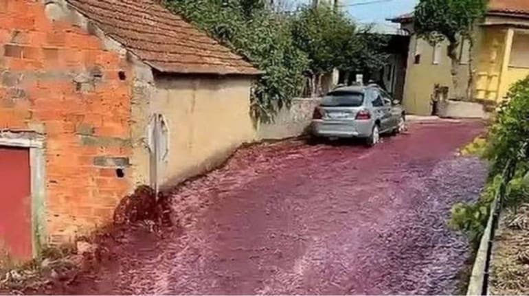 Red Wine VIDEO: इस शहर में बाढ़ की तरह सड़कों पर बहने लगी 20 लाख लीटर शराब, रेड वाइन का वीडियो देख हो जाएंगे हैरान | Moneycontrol Hindi