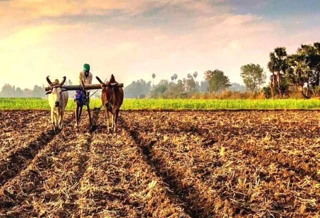 PM Kisan Yojana: केंद्र सरकार को किसान योजना में हजारों करोड़ का फायदा, किश्त में हो सकता है बड़ा इजाफा