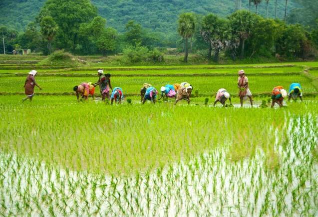 PM Kisan Yojana: मतदान से पहले किसानों को मिल सकता है बड़ा तोहफा, अकाउंट में आएंगे इतने हजार रुपये