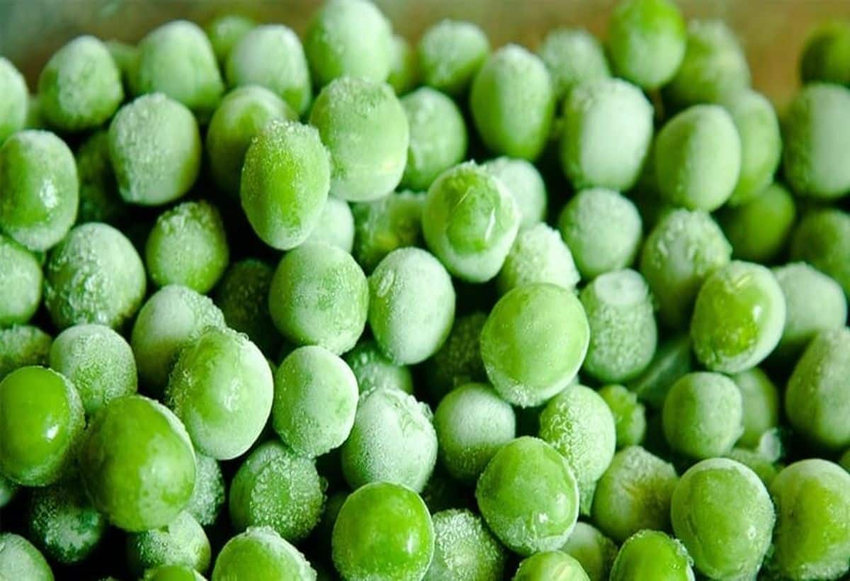Green Peas Storage Tips: बाजार की फ्रोजन मटर छोड़ें, घर पर रखें ताजा मटर Green Peas Storage Tips: बाजार की फ्रोजन मटर छोड़ें, घर पर रखें ताजा मटर