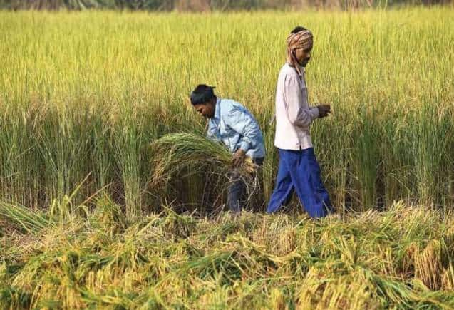 PM Kisan Yojana: UP के हजारों किसानों को नहीं मिलेंगे 2,000 रुपये, ये है बड़ी वजह