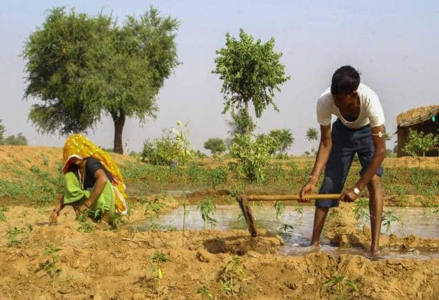 PM Kisan Yojana: 8 करोड़ से ज्यादा किसानों को 15वीं किश्त के 2000 रुपये मिले, ऐसे करें चेक