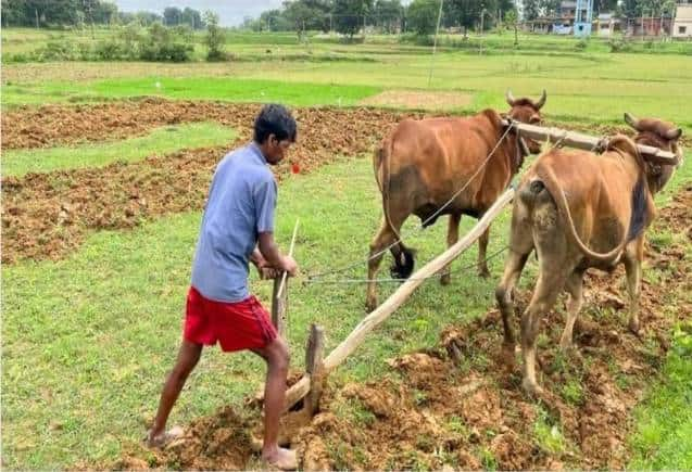 PM Kisan Yojana: द‍िवाली पर खुशखबरी! 15 नवंबर को किसानों को मिलेंगे 2000 रुपये, यहां देखिए अपना नाम