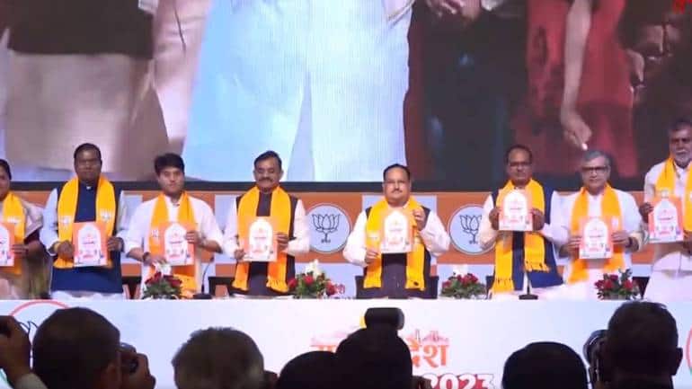MP BJP Manifesto: मध्य प्रदेश में BJP का वादा, गेहूं, धान के लिए ज्यादा MSP, लाडली बहना के तहत घर और 450 में रसोई गैस