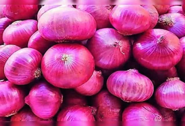 Business Idea: प्याज के पेस्ट के बिजनेस से करें बंपर कमाई, जानिए कैसे करें शुरू
