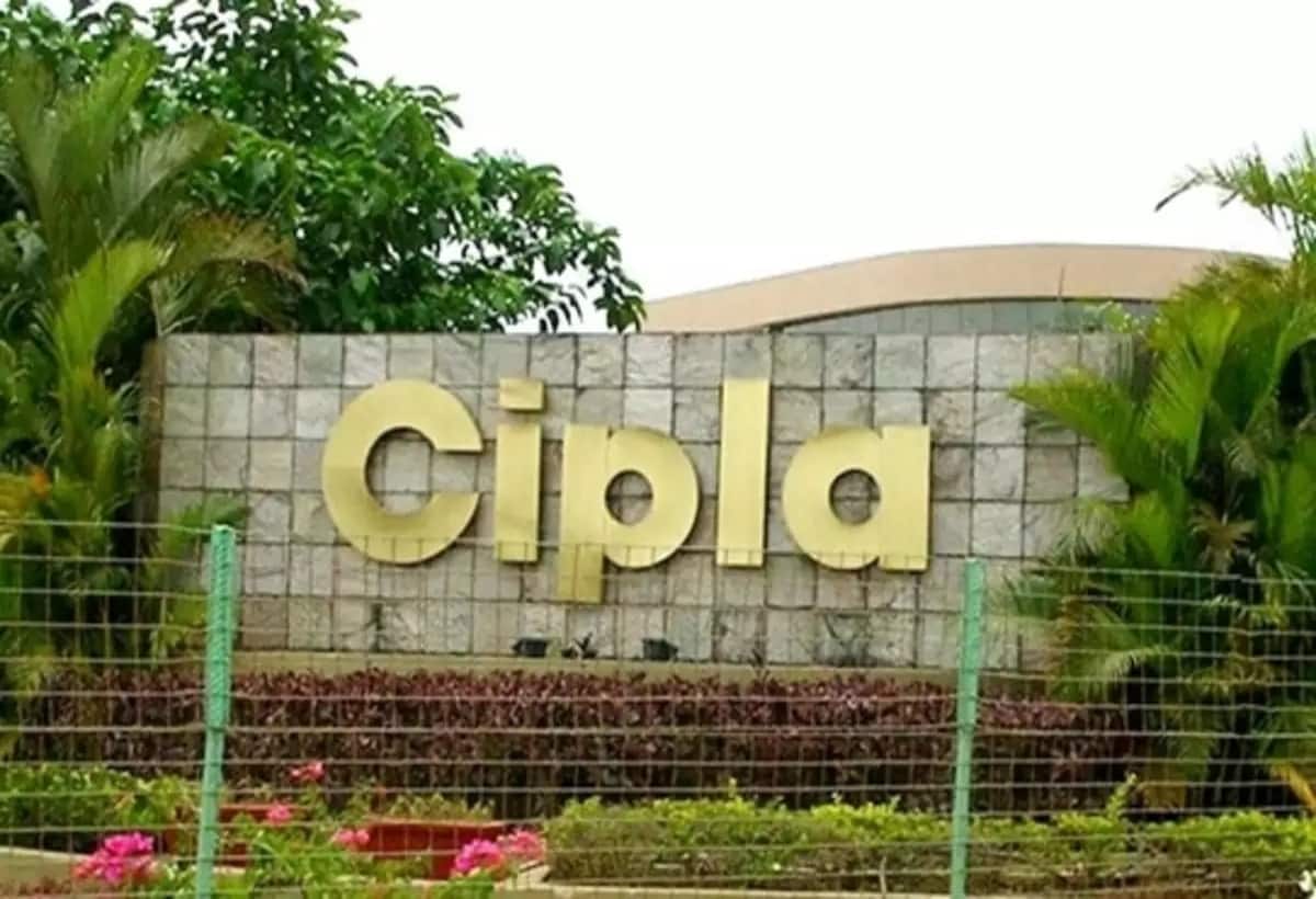 Cipla Q2 Results: सितंबर तिमाही में 15% बढ़ा नेट प्रॉफिट, बाजार के अनुमान से बेहतर रहे नतीजे Cipla Q2 Results: सितंबर तिमाही में 15% बढ़ा नेट प्रॉफिट, बाजार के अनुमान से बेहतर रहे नतीजे