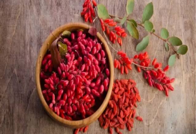 Diabetes: लाल बेरी है ब्लड शुगर का दुश्मन, कैंसर और BP के लिए है रामबाण, जानिए कैसे करें सेवन Diabetes: लाल बेरी है ब्लड शुगर का दुश्मन, कैंसर और BP के लिए है रामबाण, जानिए कैसे करें सेवन