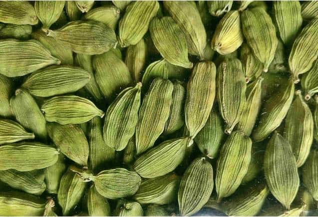 Business Idea: इलायची की खेती फौरन बना देगी लखपति, जानिए कैसे उगाएं
