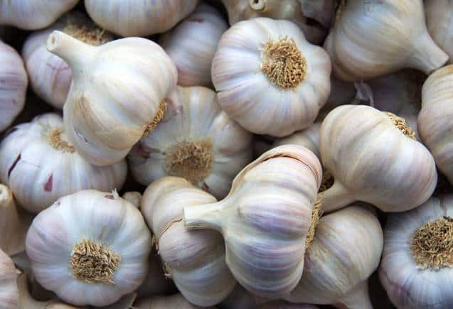 Garlic Price Hike: प्याज और टमाटर के बाद लहसुन की कीमतों में लगी आग, दाम सुनकर खरीदने की नहीं होगी हिम्मत Garlic Price Hike: प्याज और टमाटर के बाद लहसुन की कीमतों में लगी आग, दाम सुनकर खरीदने की नहीं होगी हिम्मत